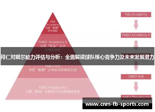 拜仁对戴尔能力评估与分析：全面解读球队核心竞争力及未来发展潜力